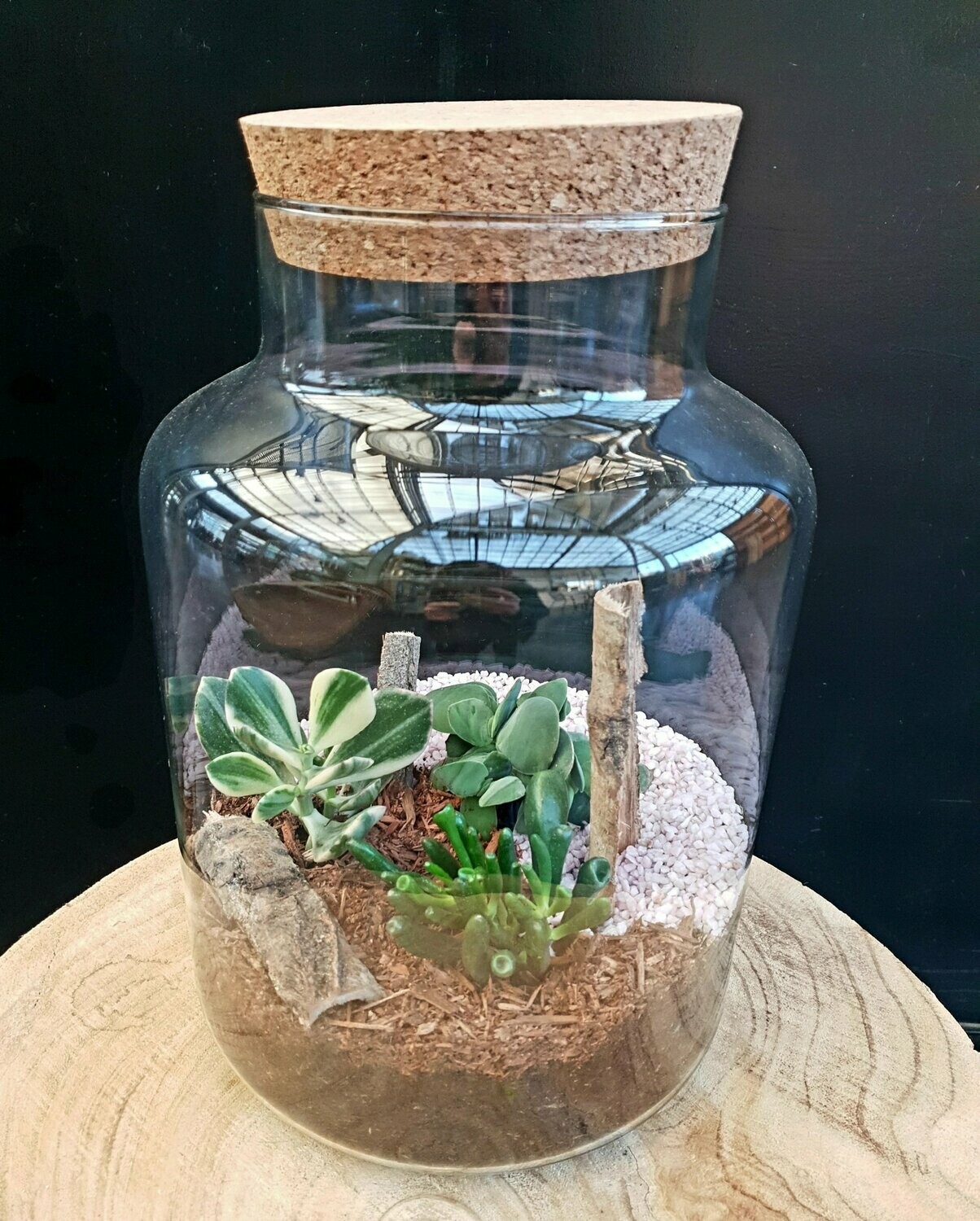 Terrarium