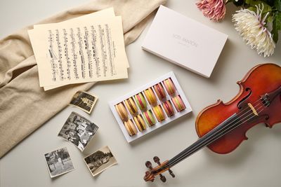 TIMELESS COLLECTION
