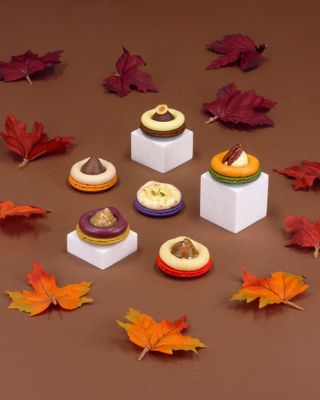AUTUMN COLLECTION