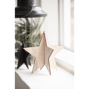 Christmas Ornament Star, Standing, Nature,