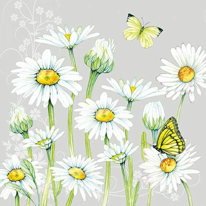 Ambiente Serviette  Daisy grey  33 x 33 cm