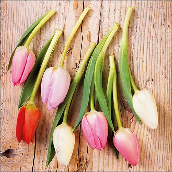 Ambiente Serviette  Tulpen  33 x 33 cm