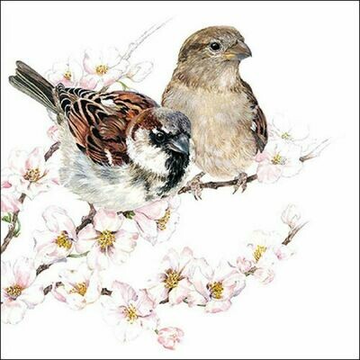 Ambiente Serviette Vögel Frühlingsblüte 33 x 33 cm Ambiente Serviette Vögel Frühlingsblüte 33 x 33 cm