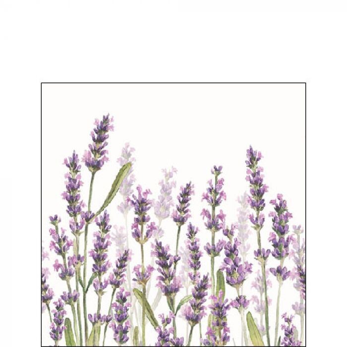 Ambiente Serviette Lavender Shades White 25 x 25 cm Ambiente Serviette Lavender Shades White 25 x 25 cm