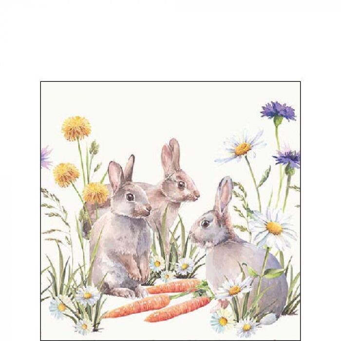 Ambiente Serviette Carrot Treat  25 x 25 cm