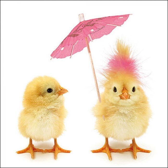 Ambiente Serviette Easter Chicks  33 x 33 cm
