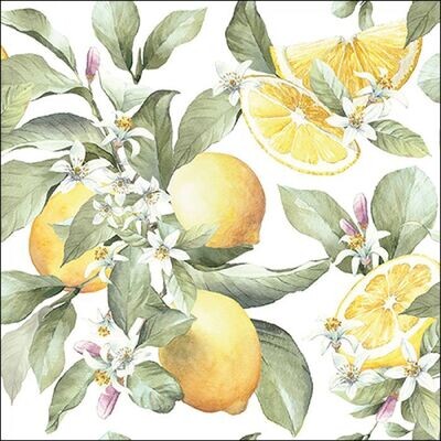 Ambiente Serviette Limoni 33 x 33 cm Ambiente Serviette Limoni 33 x 33 cm