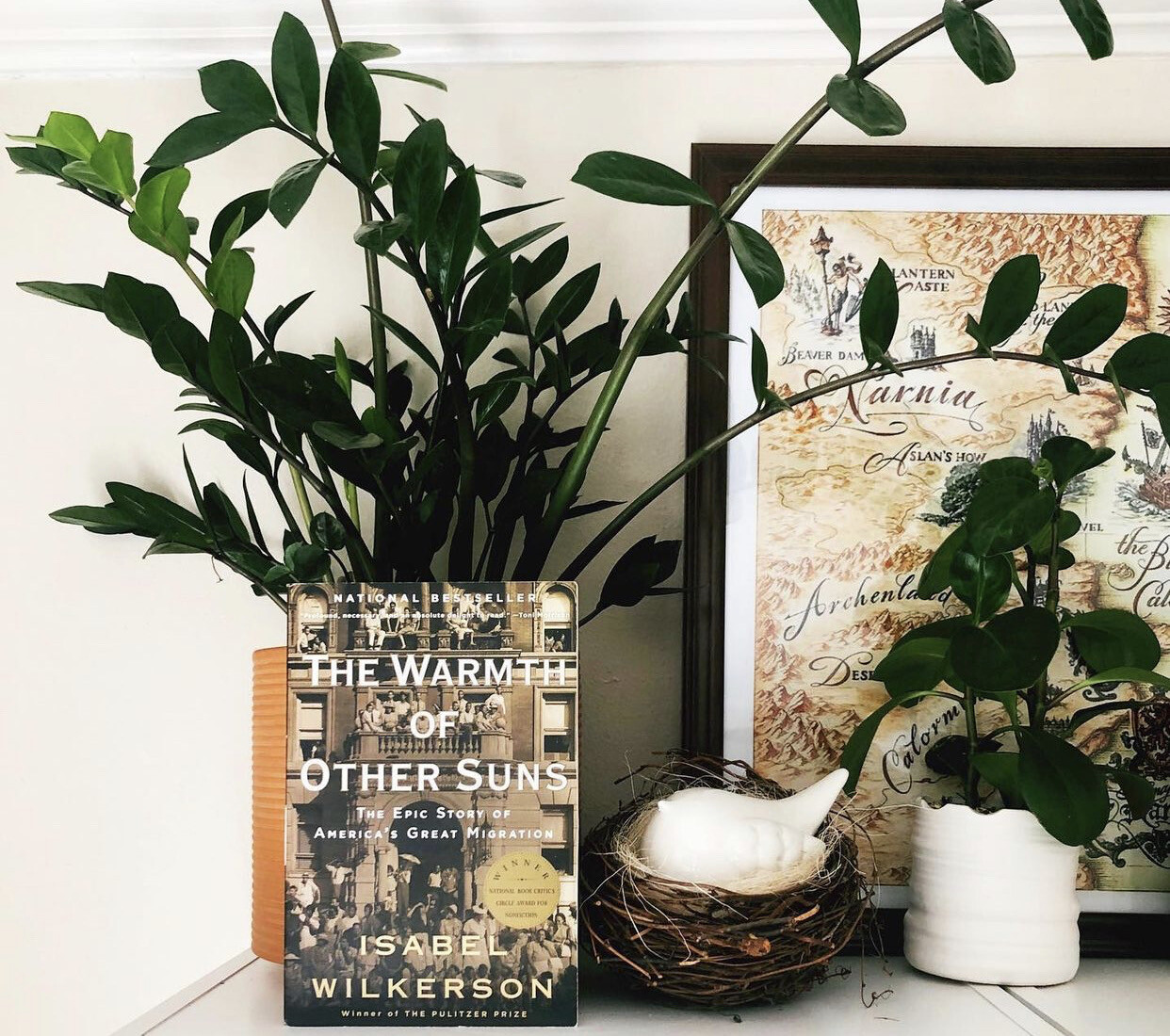The Warmth of Other Suns by Isabel Wilkerson
