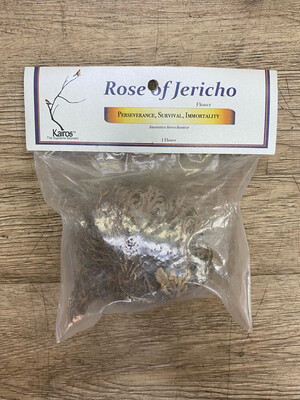 Rose of Jericho