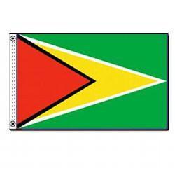 Guyana 3' x 5' Foot Flag