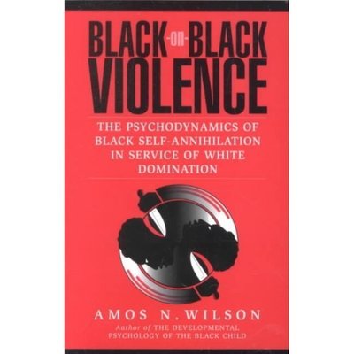 Black-On-Black Violence by Amos N. Wilson