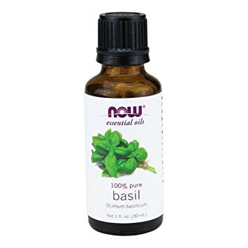 Now Essential Oils-Basil 100% Pure Oil 1 fl.oz