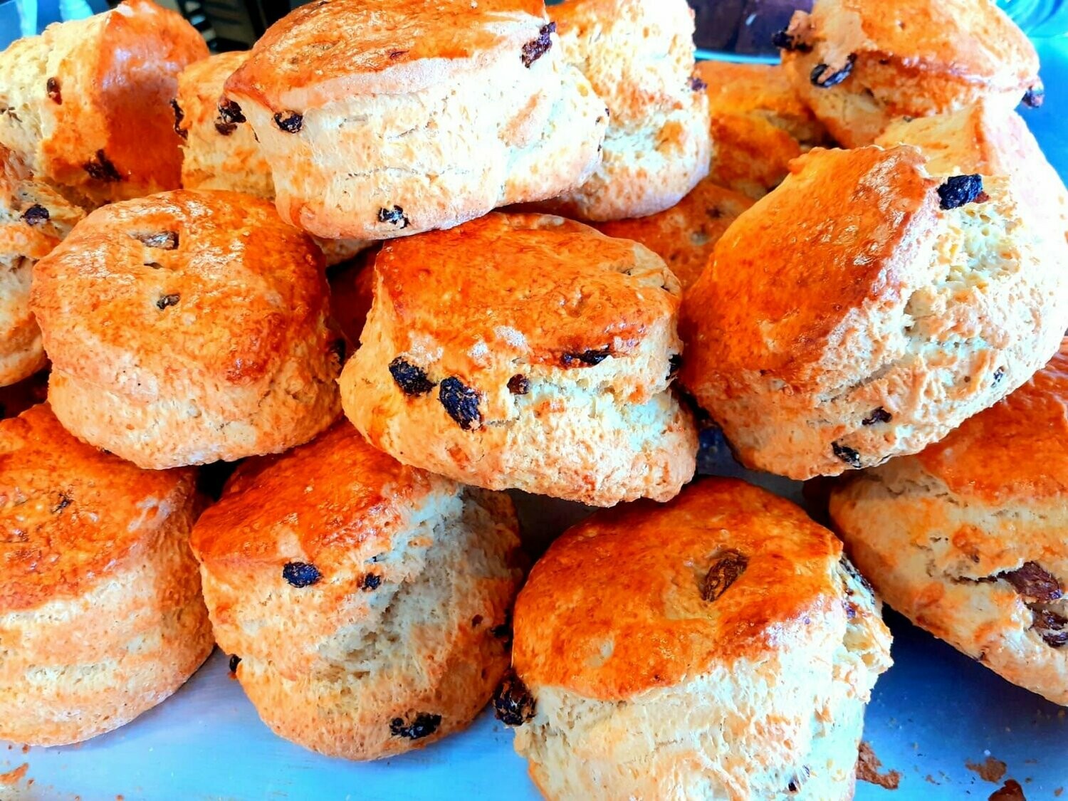 Homemade Fruit Scones