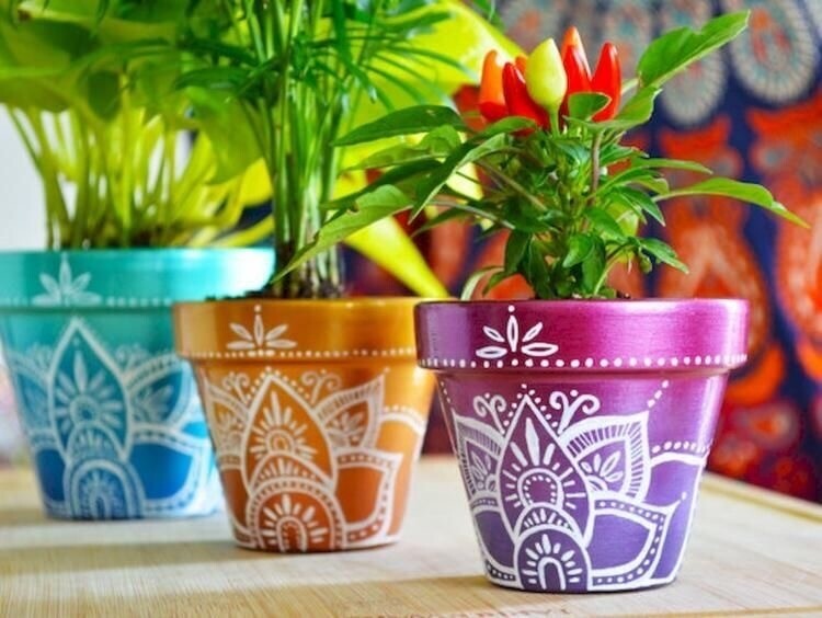 Pot Plant Kit Trio