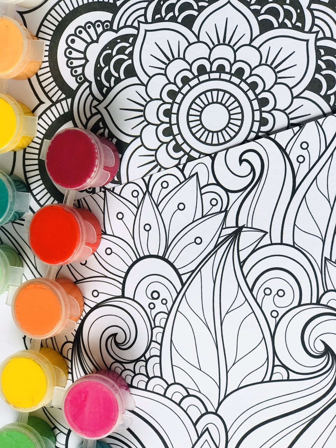 Acrylic Colouring Kit 30pc