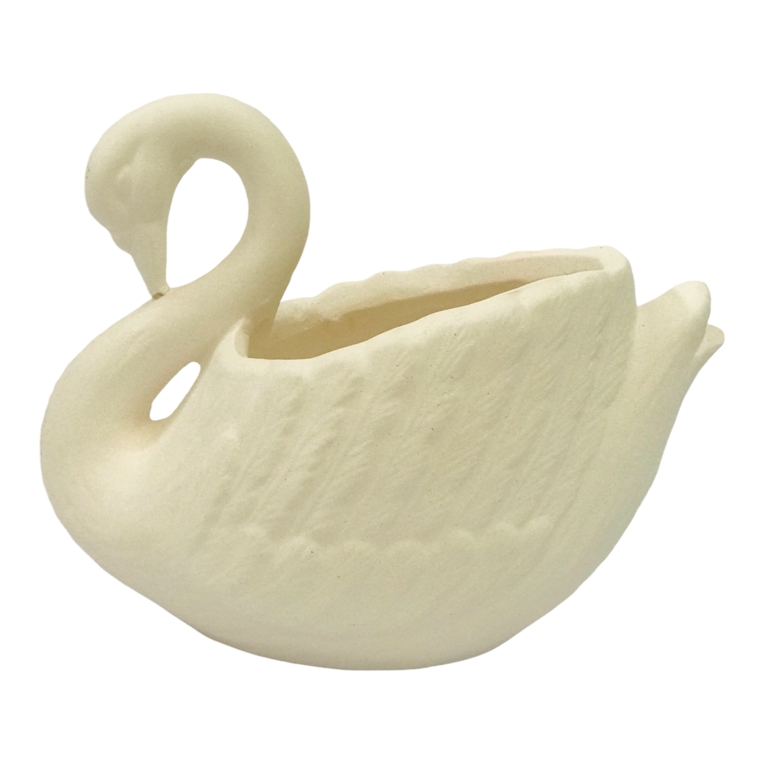 Swan