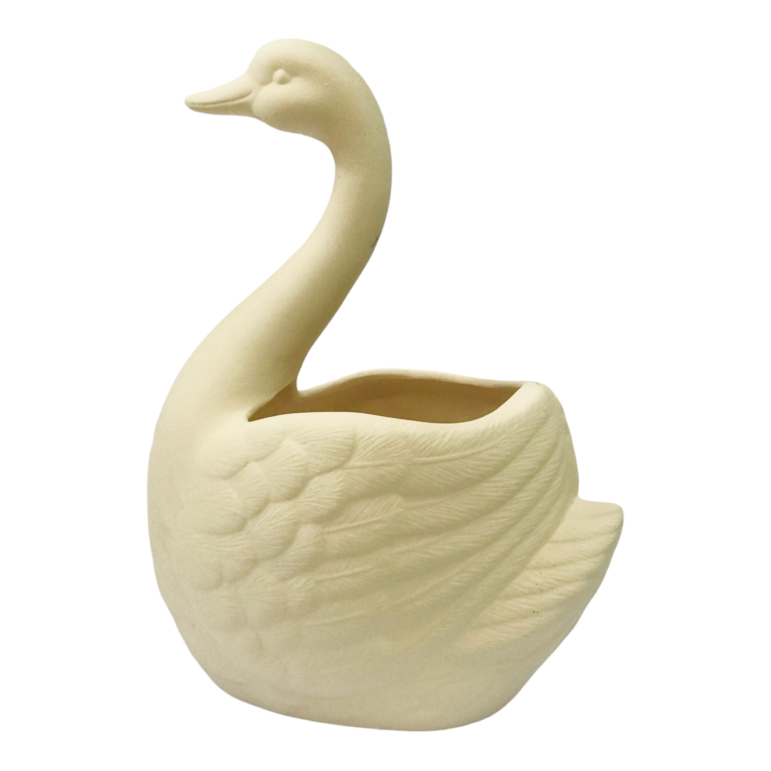 Swan