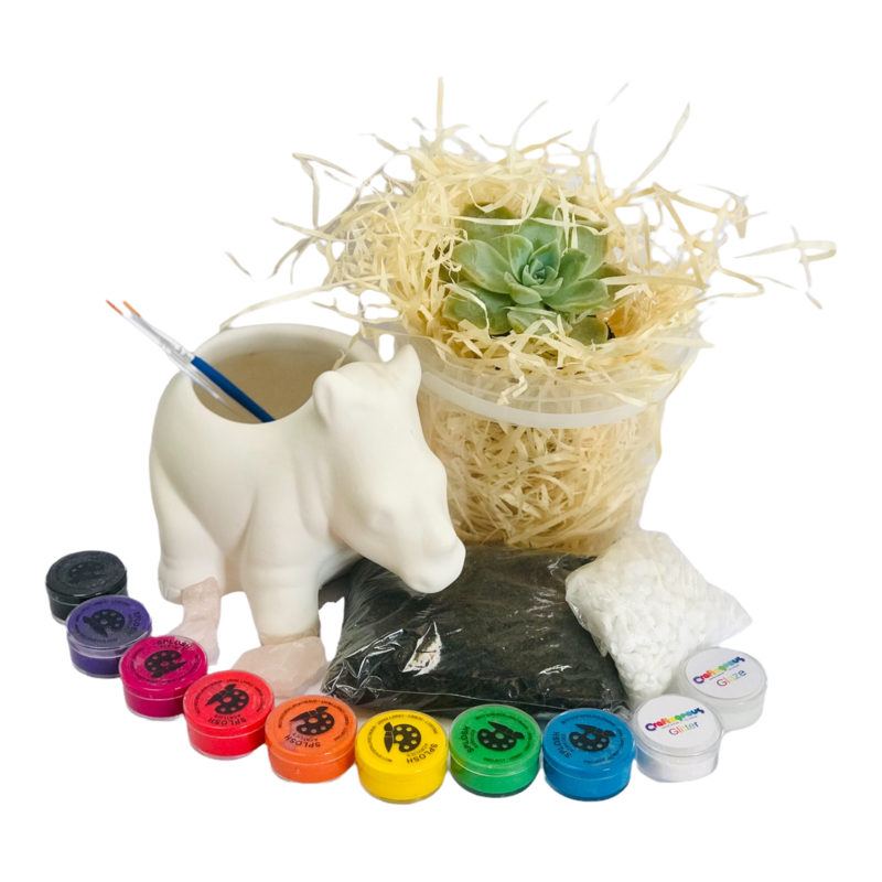 Ceramic Rhino Planter Craftikit