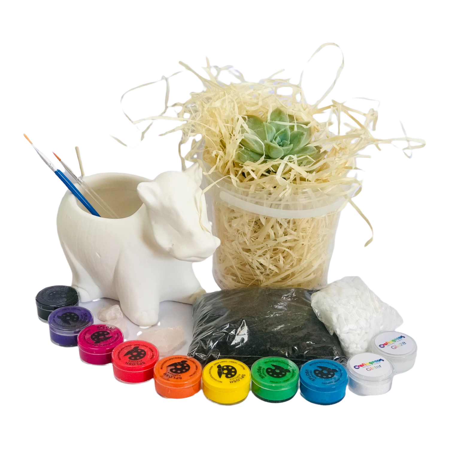 Ceramic Bush Pig Planter Craftkit