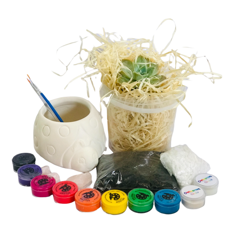 Ceramic Ladybug Planter Craftikit