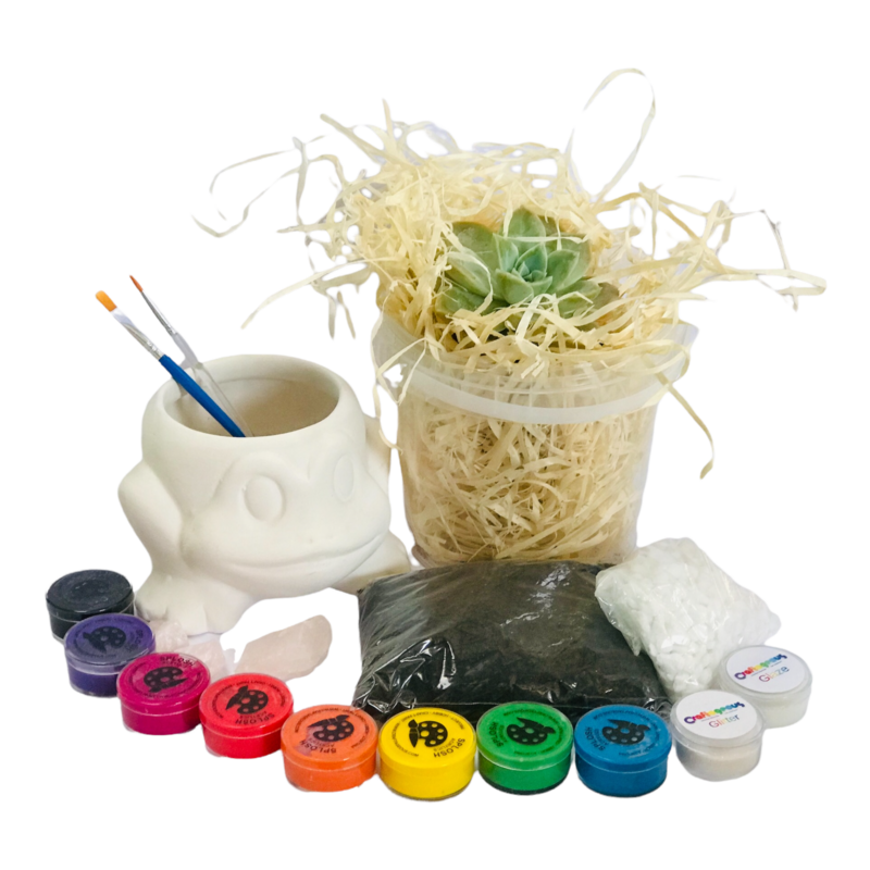 Ceramic Frog Planter Craftikit