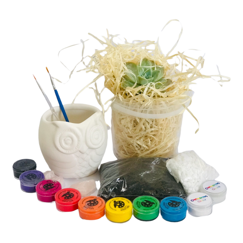Ceramic Owl Planter Craftikit