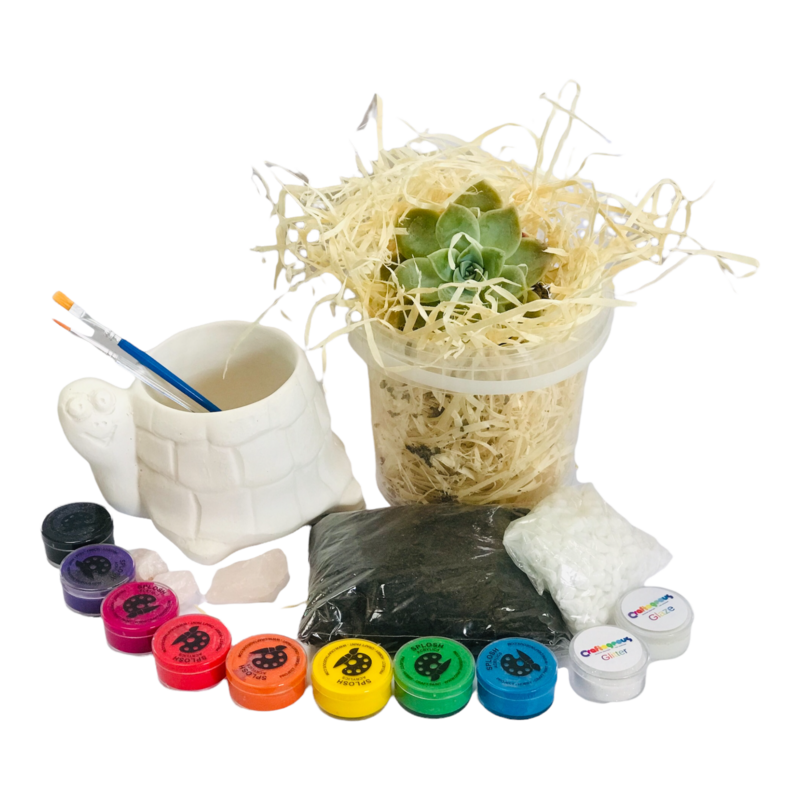 Ceramic Tortoise Planter Craftikit