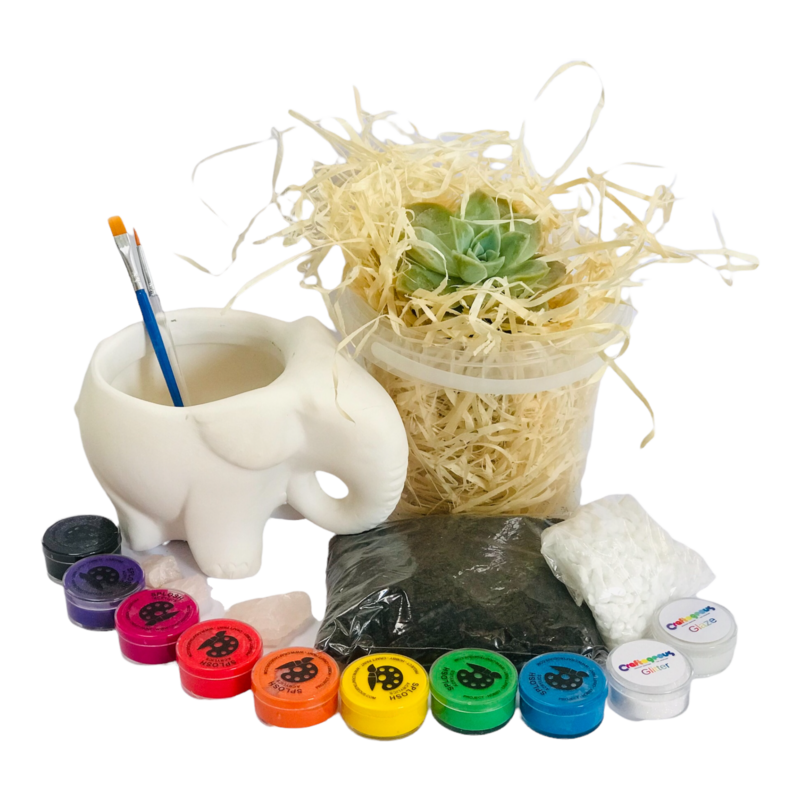 Ceramic Elephant Planter Craftikit