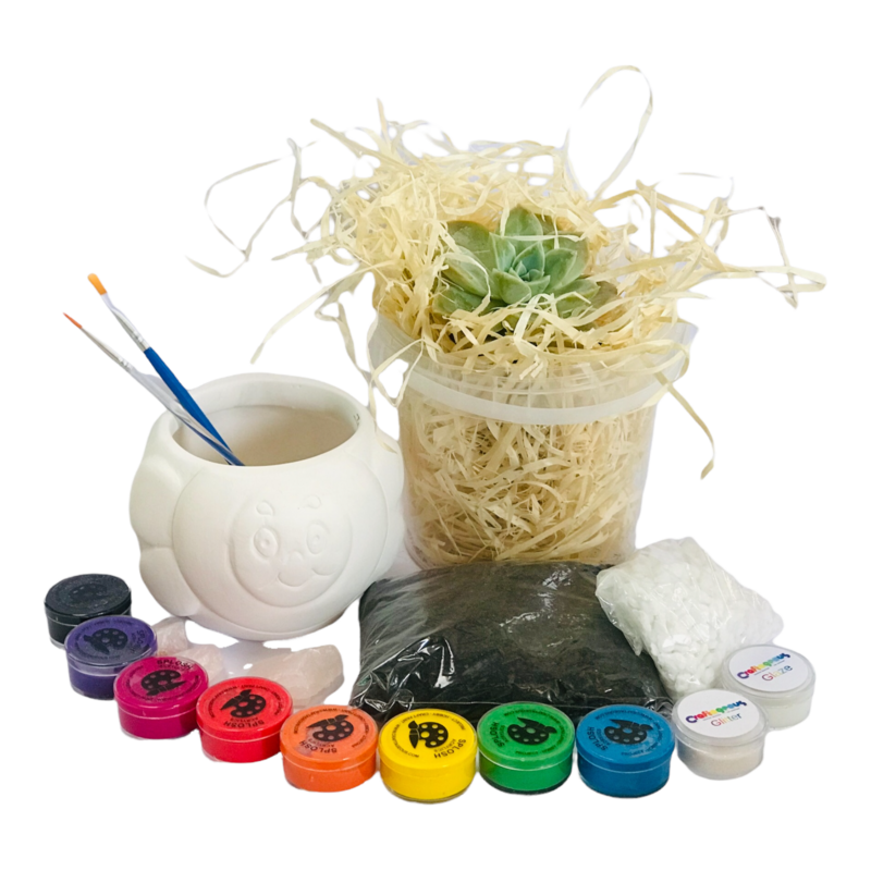 Ceramic Bee Planter Craftikit