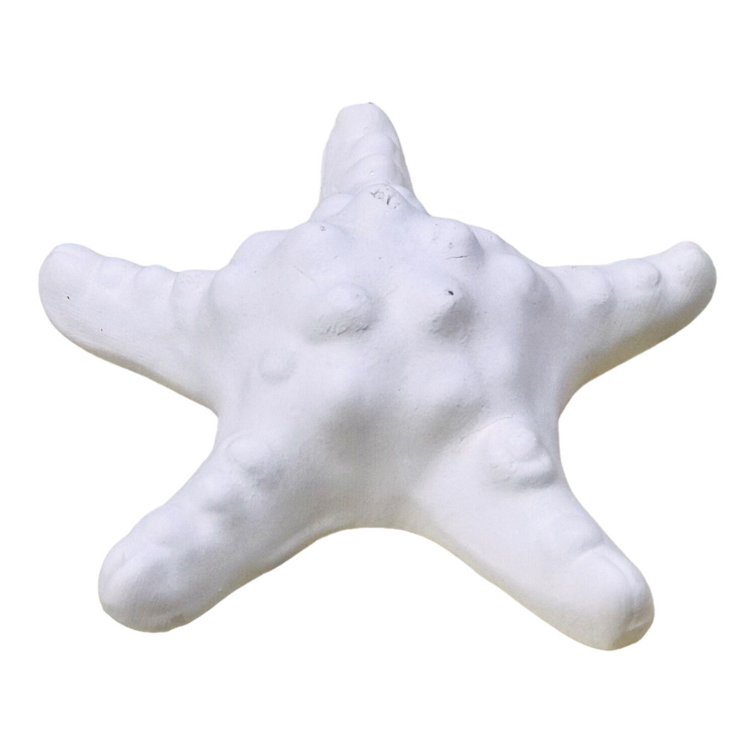 Starfish Small Ceramic