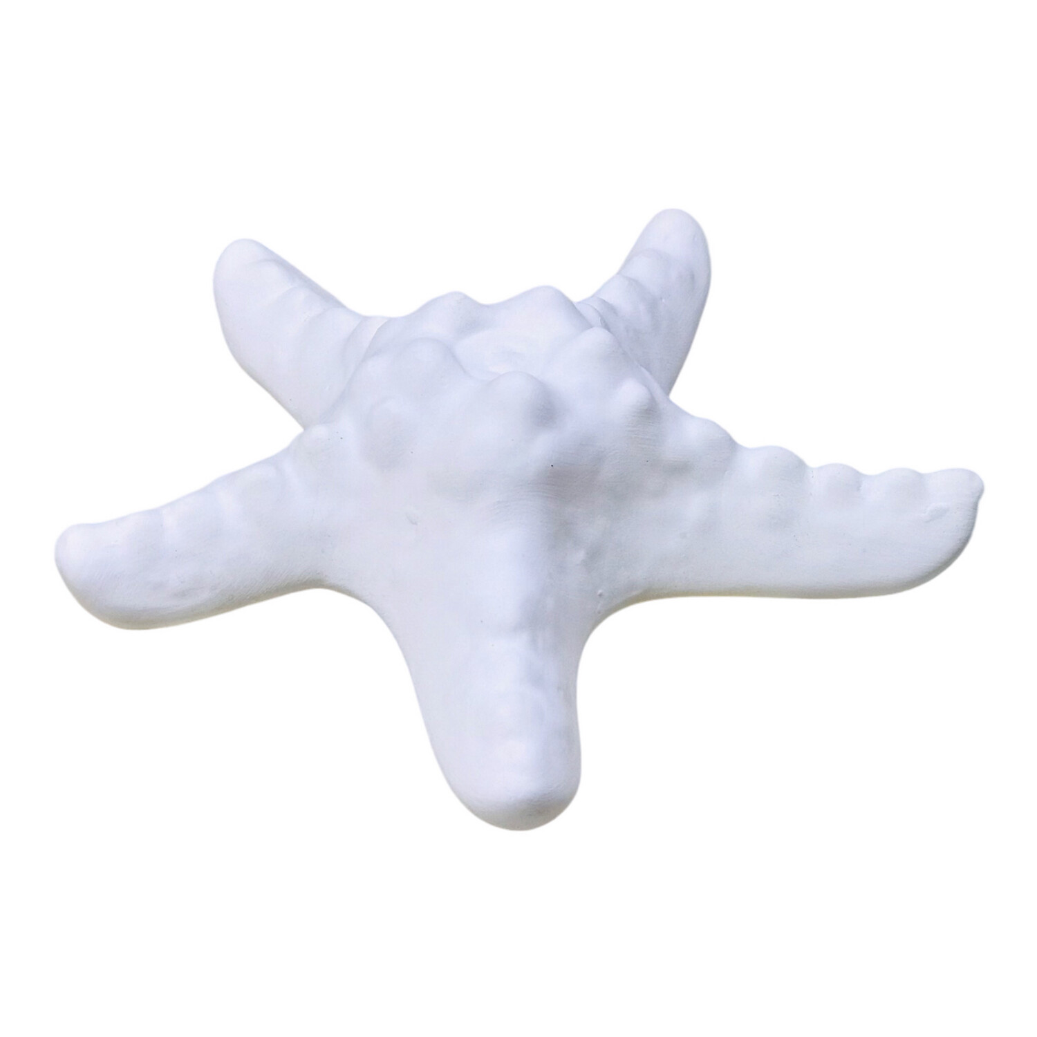 Starfish Large