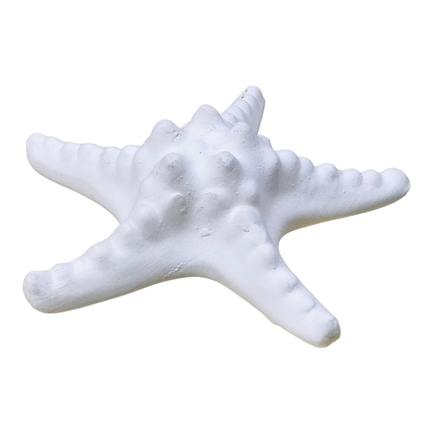 Starfish Medium Ceramic
