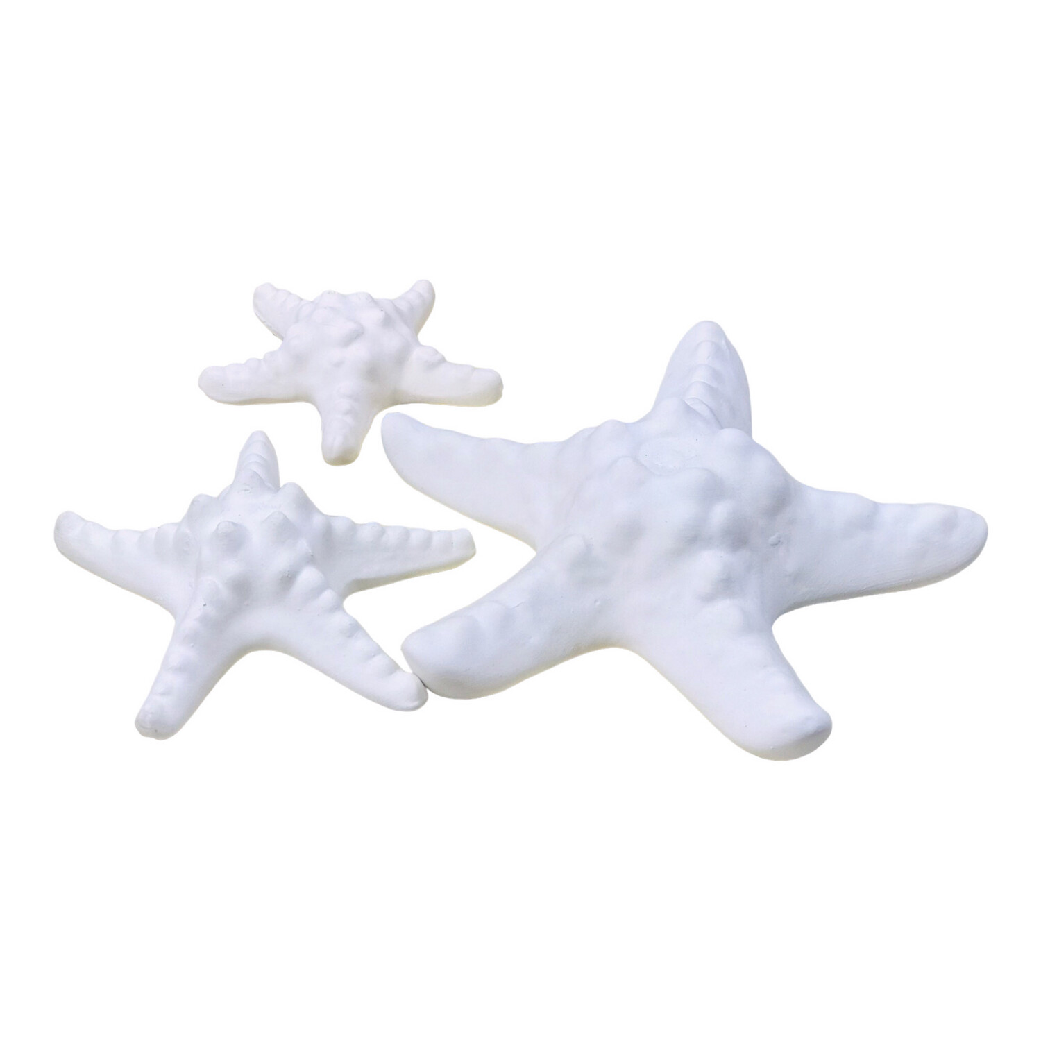 Starfish Set