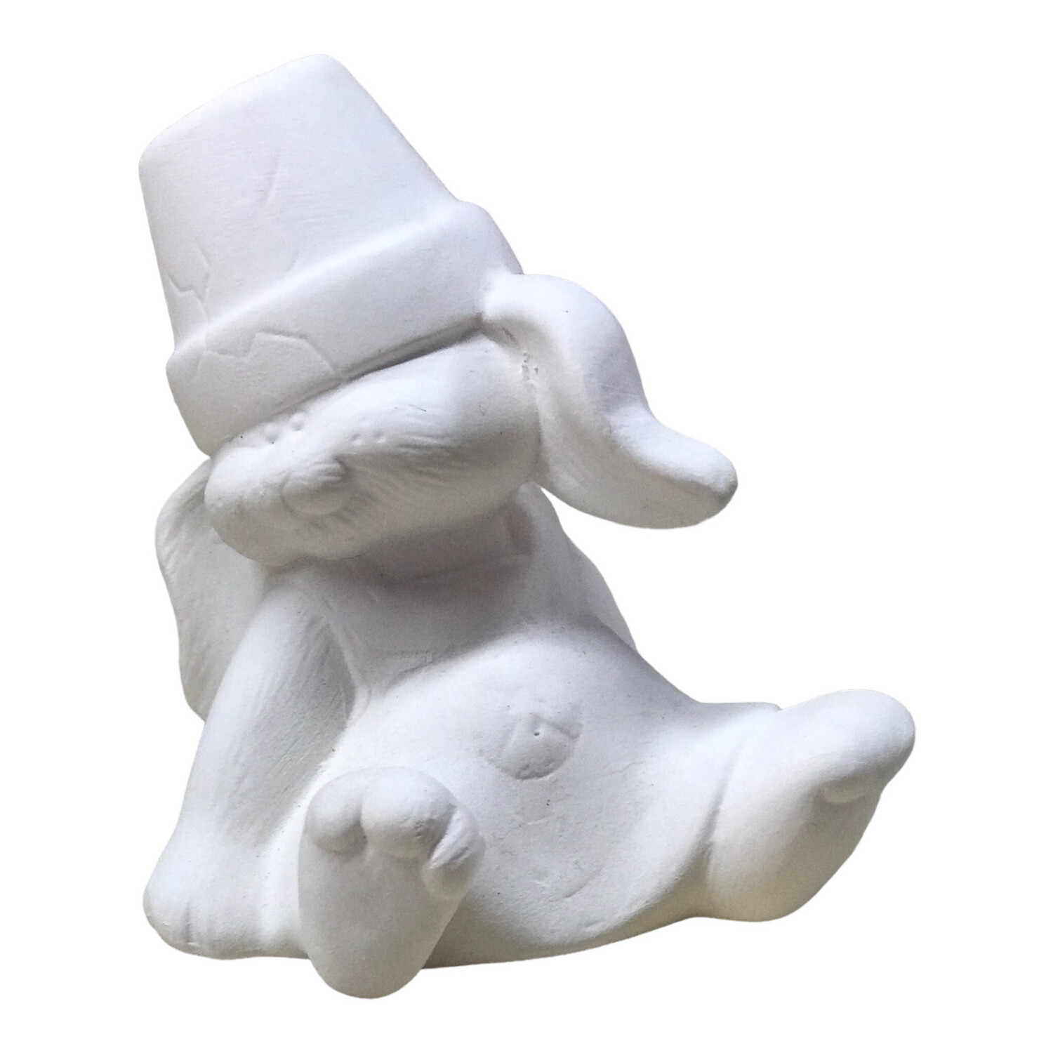 Crackpot Bunny