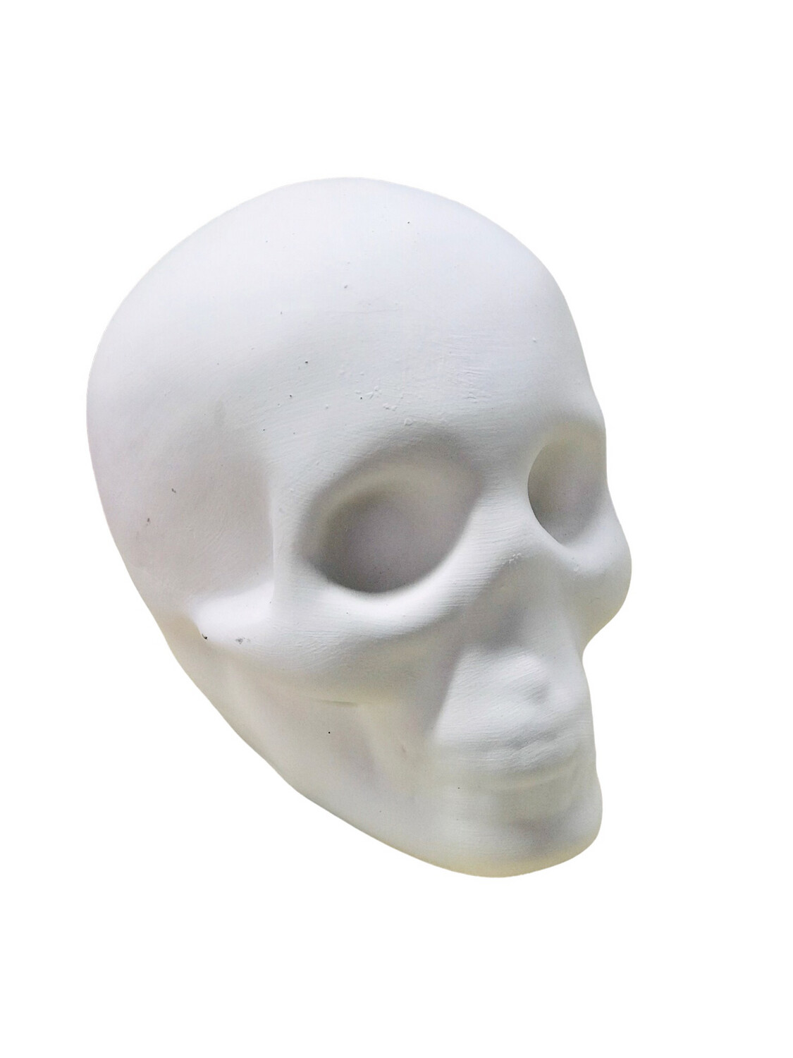 Ceramic Skull