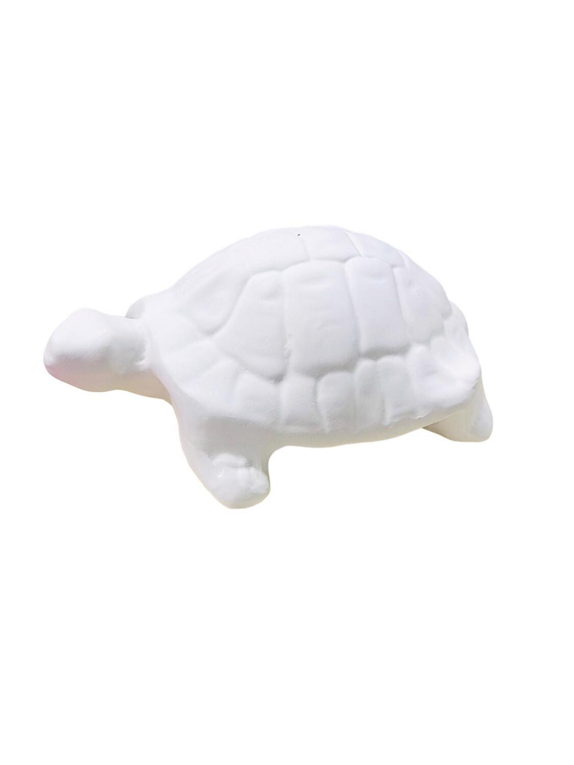 Torty Ceramic