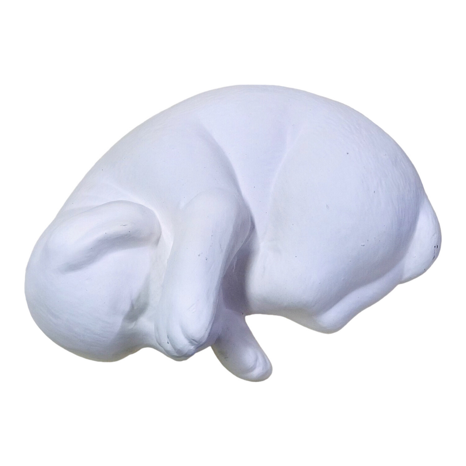 Sleeping Puppy Curled Up ceramic