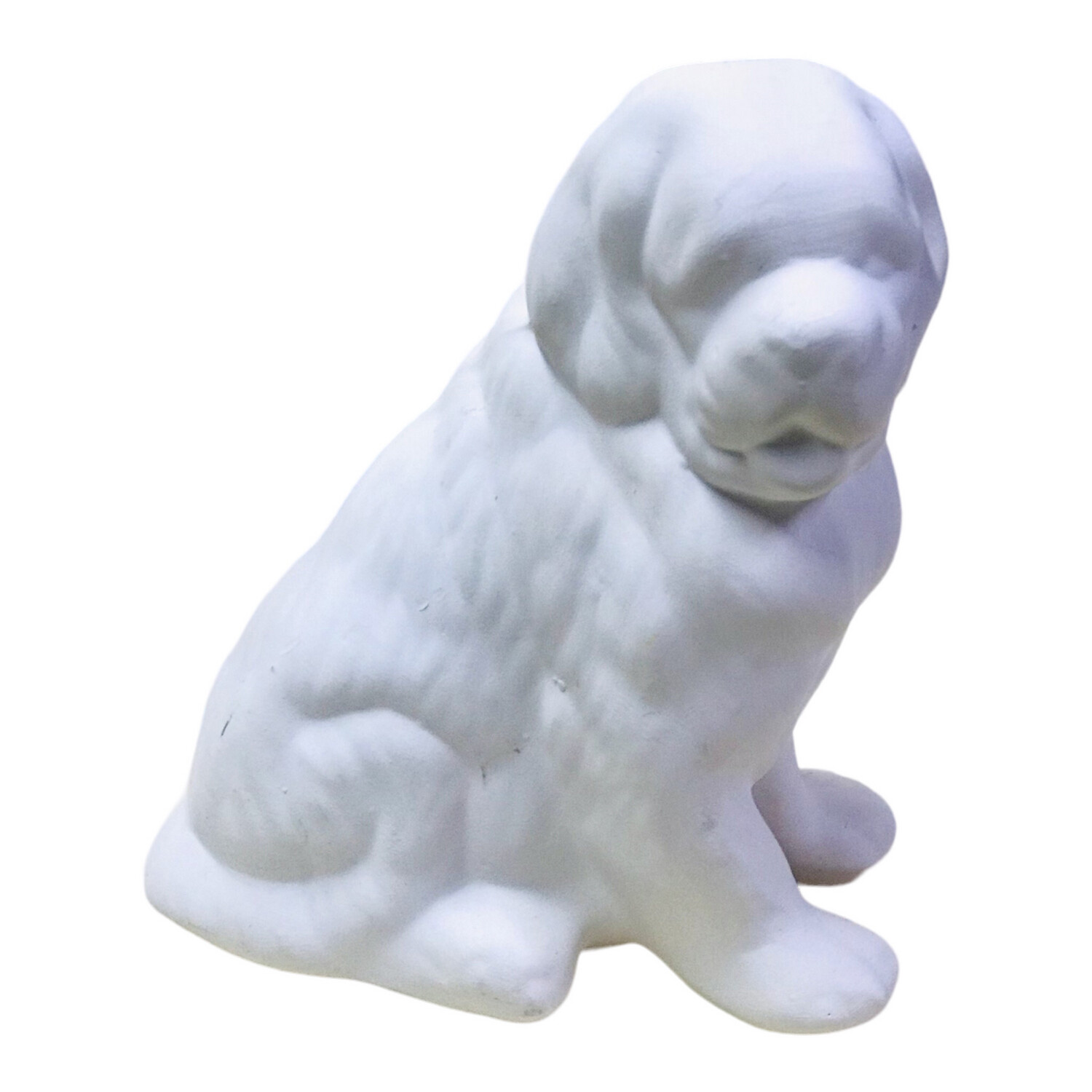 St Bernard