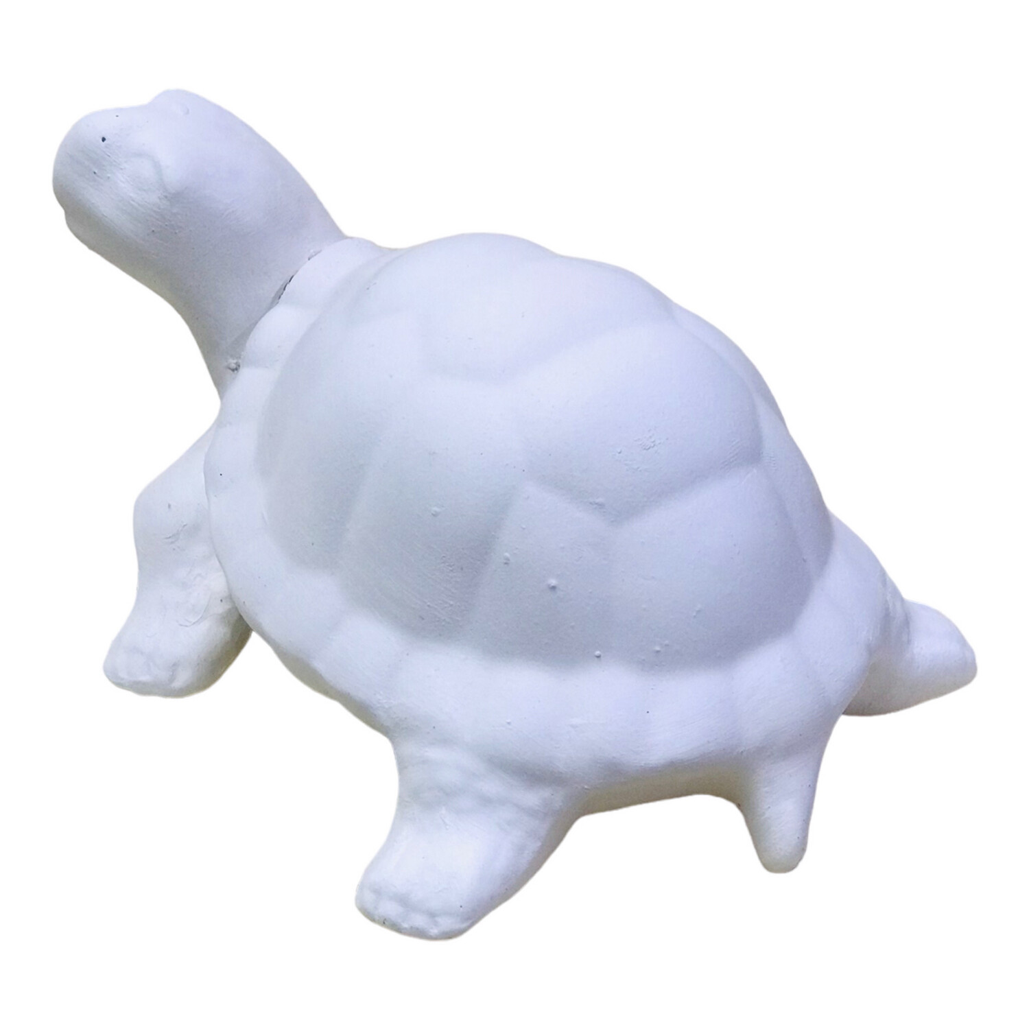 Tortoise Ceramic