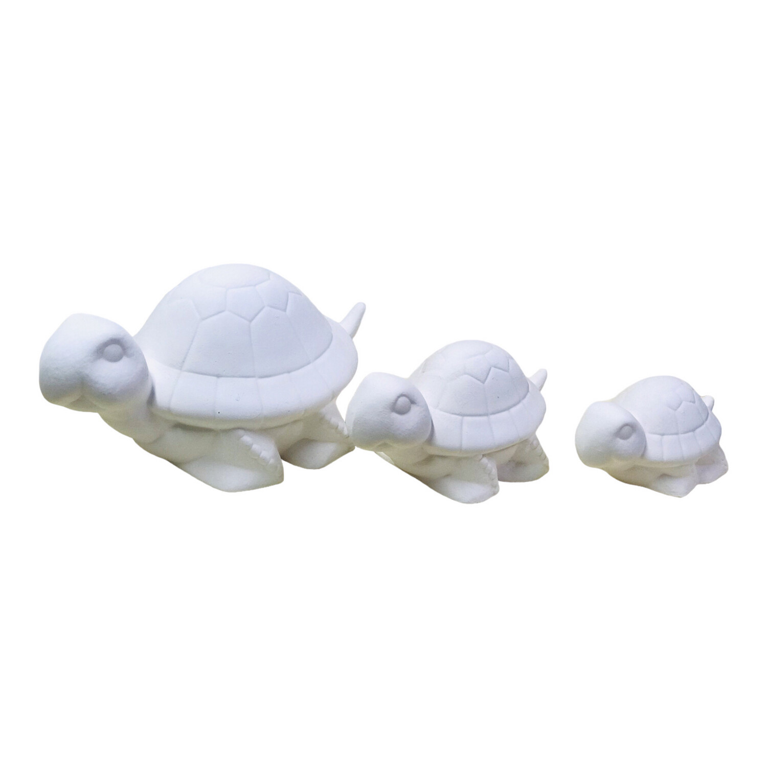 Tortoise Trio ceramic