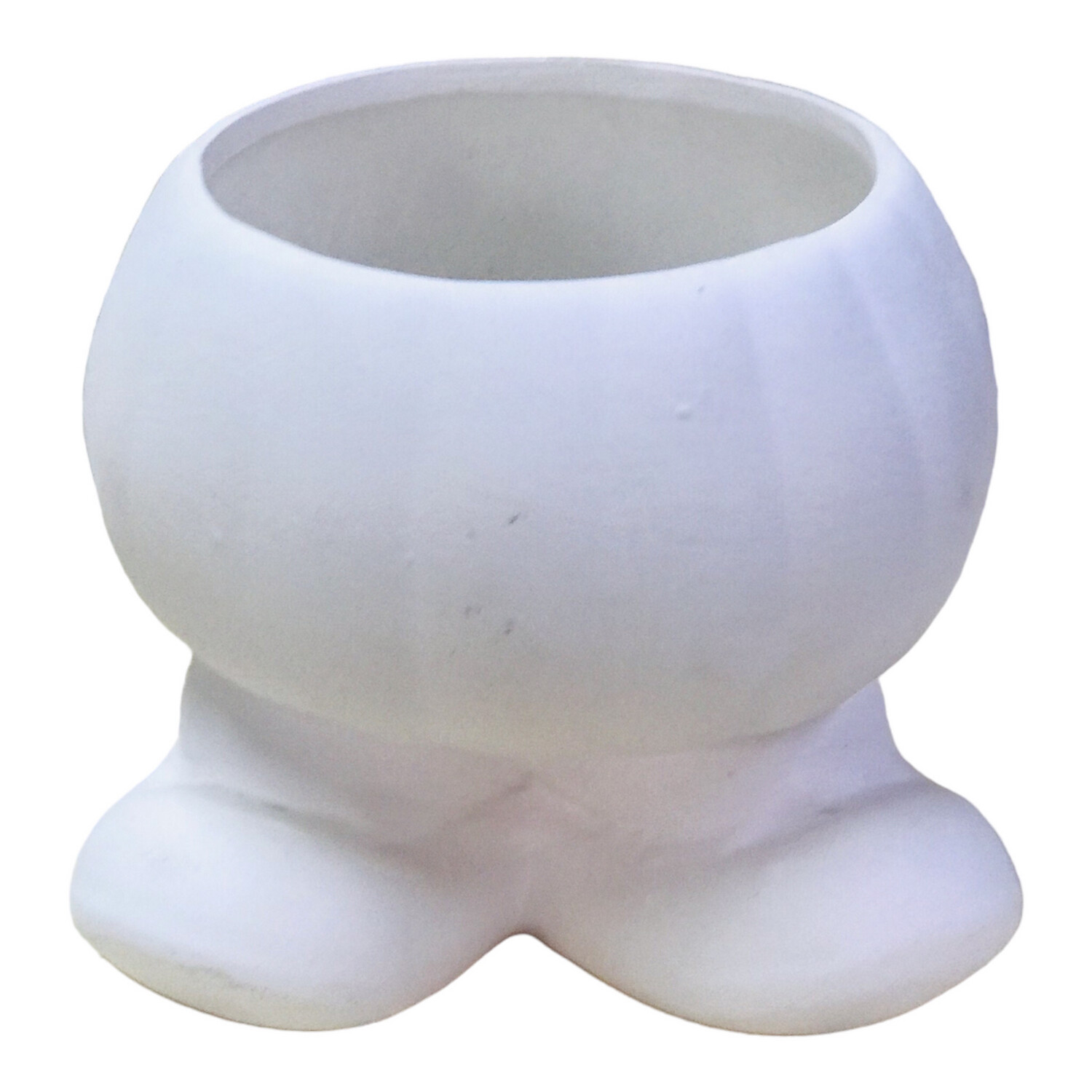 Pants Planter