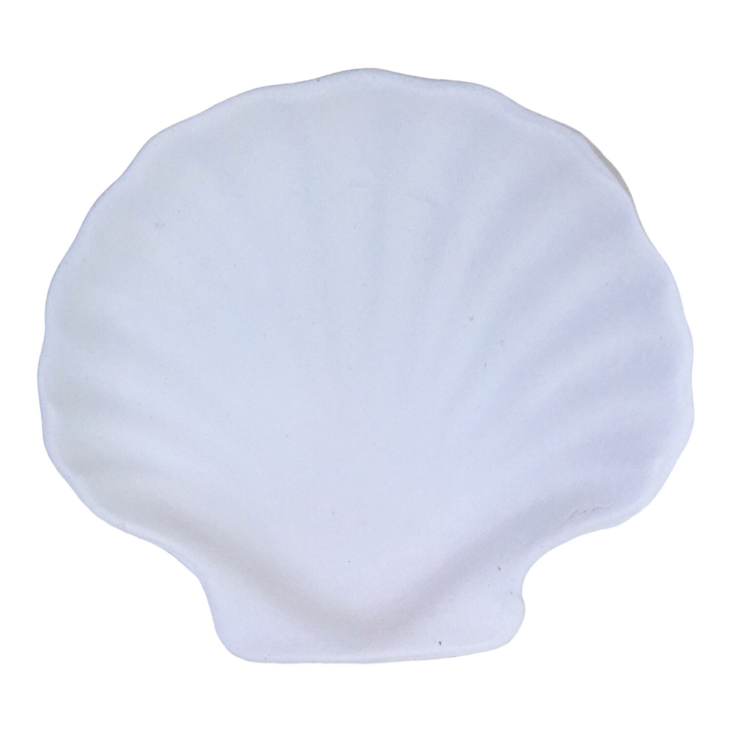 Shell Ceramic