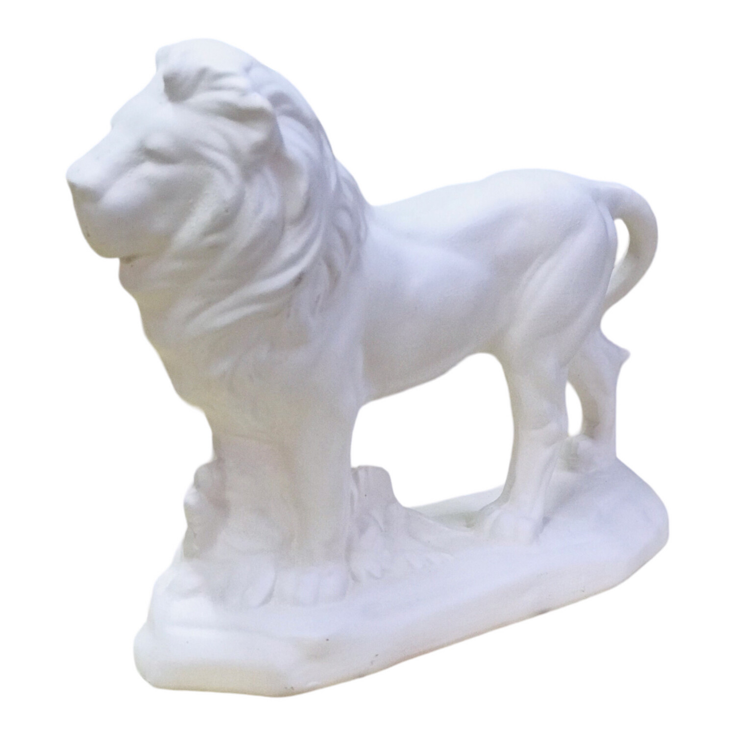 Lion Standing