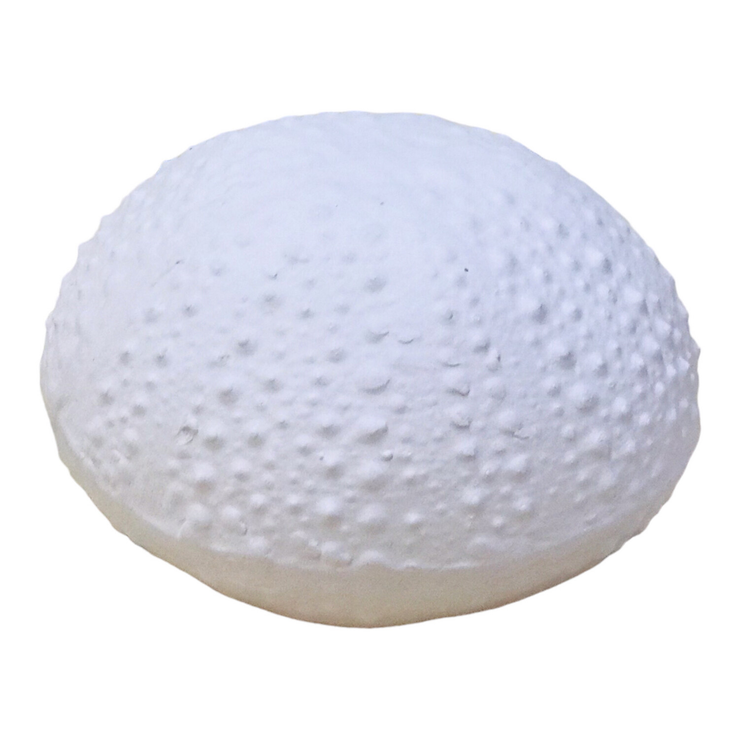 Sea Urchin ceramic