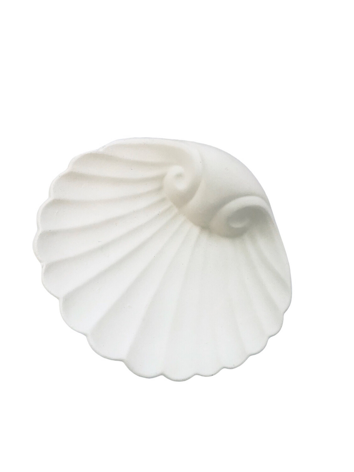 Shell Ceramic