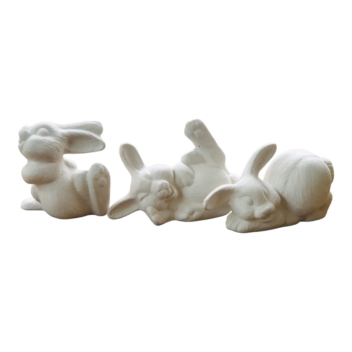 Bunny Playing Set
