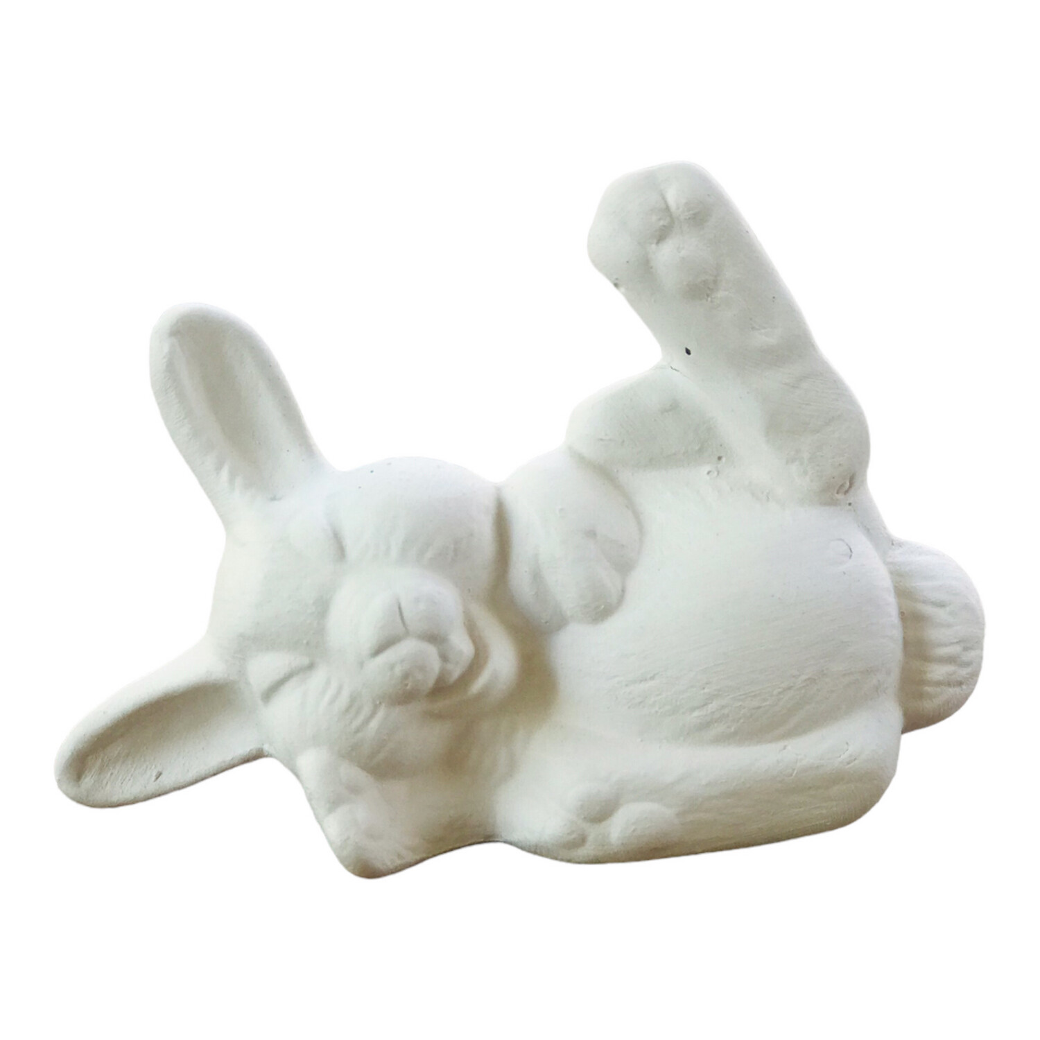 Bunny Jolly Laughing