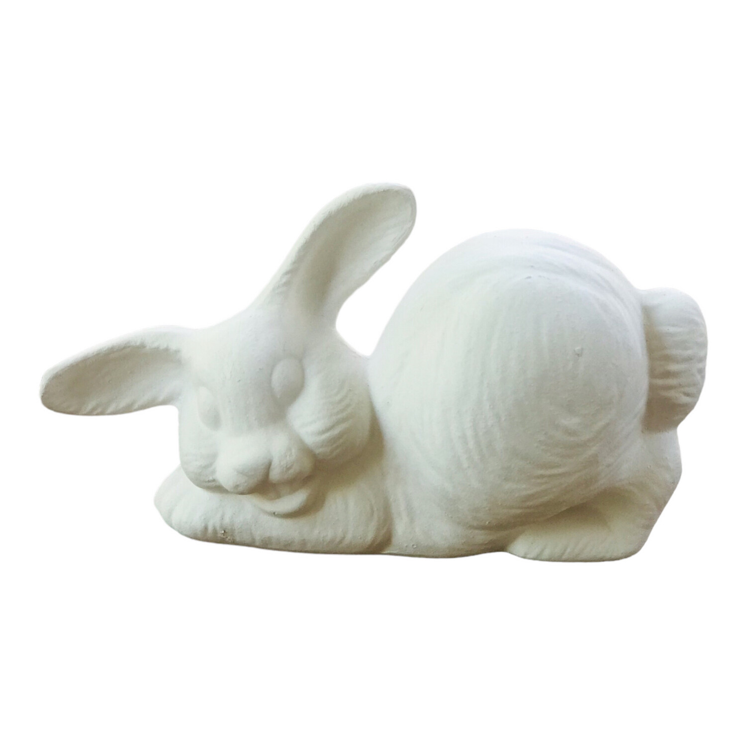 Bunny Jolly Playing