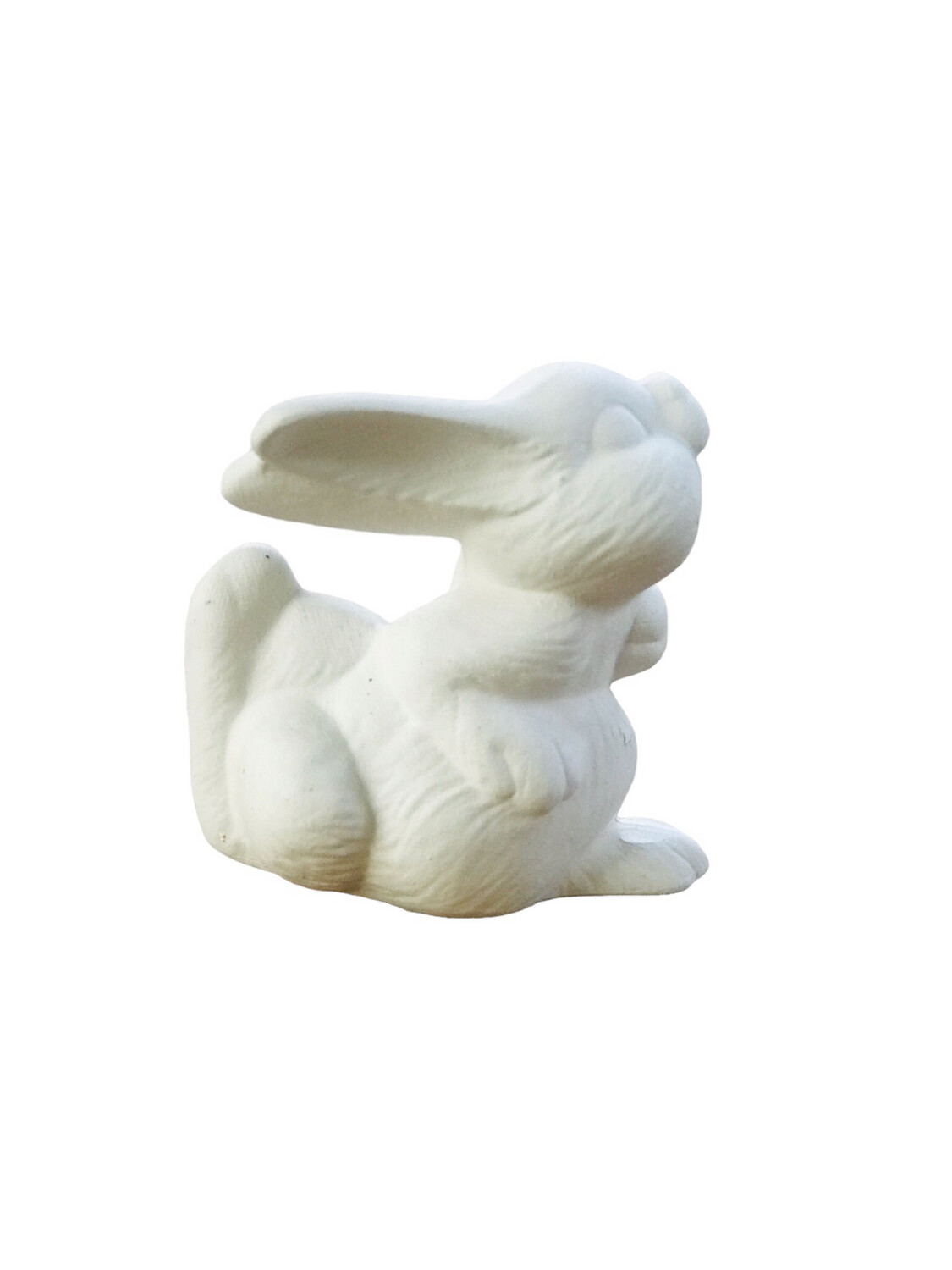Bunny Jolly Running