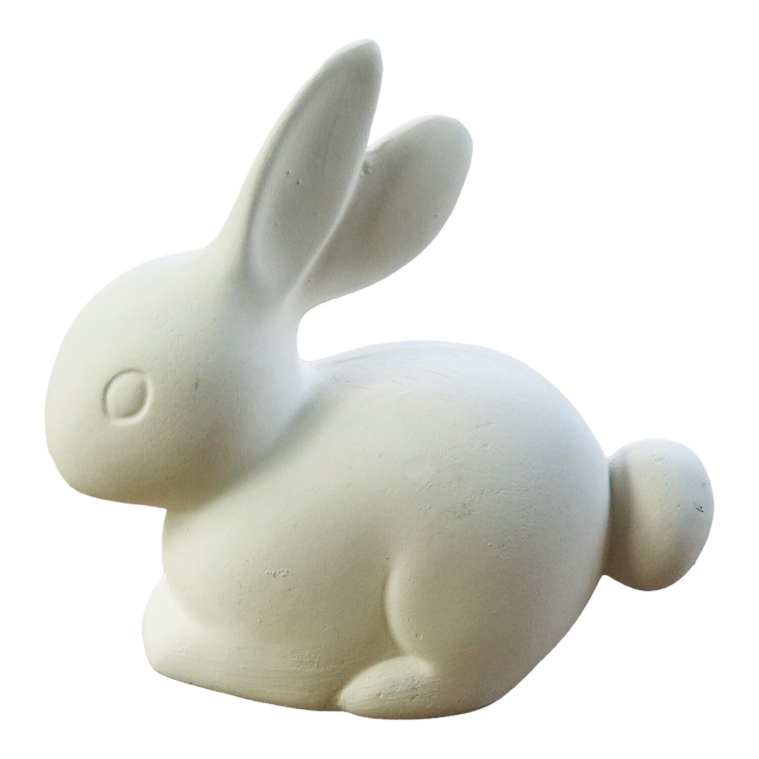 Bunny Tail